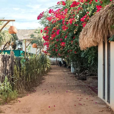 Apartamento Peixe Boi - pé na areia com vista frontal e total para o mar Barra Grande  Esterno foto